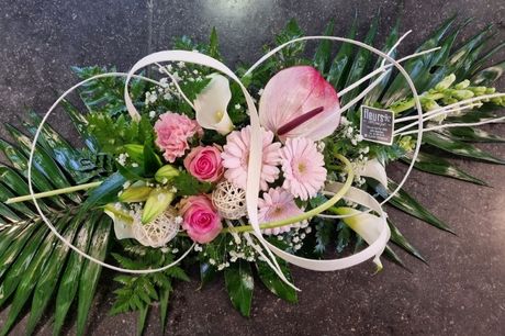 Fleurs Véronique