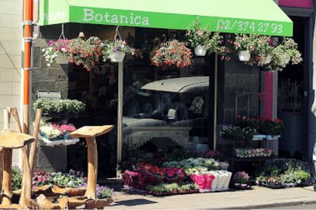 Botanica