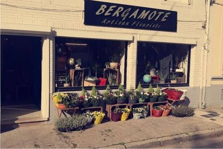 Bergamote-fleurs